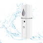 Pulverizador Facial Elétrico